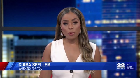 Local Artists Display New England Mosaic Project in Agawam