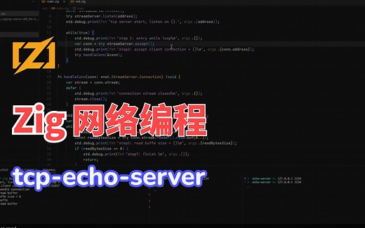 zig 网络编程 - tcp echo server