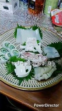 休日キッチン「ヤリイカのお刺身」#旬の食材 #休日 #休日の過ごし方 #料理 #お刺身 #ヤリイカ #海鮮好き