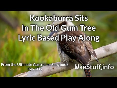 Kookaburra Sits in the Old Gum Tree Lyric Based Play Along