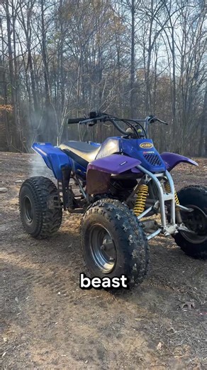 FactoryNew Small Engine Repair on Instagram: "Blaster? I hardly know her. #smallenginerepair #blaster #engine"