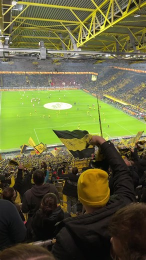 #bvb🖤💛 #schalalala#aufwärmen