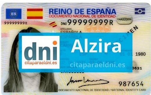 DNI Alzira