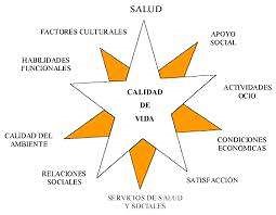 Que Es Calidad De Vida Segun La Oms