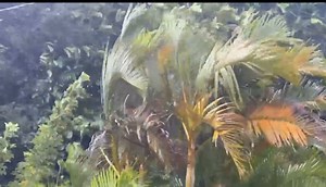 Desde Aibonito por Nilsa Pratts | Deborah Martorell