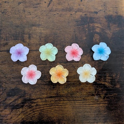 Mini Magnets - Transparent Plumeria Flowers | Set of 7 | Unique Clear Tropical Floral Magnet | Multicolor Small Decorative Magnet for Fridge - Etsy