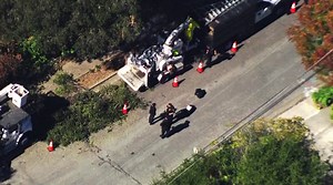 California Tree Trimmer Dies After Falling into Wood Chipper in Freak Accident