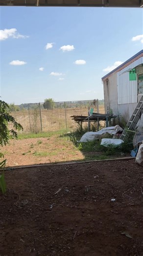 วัยรุ้นสู่วัยเยาว์ #CapCut #ถ่ายรูปเท่ๆ #ฟีดดดシ #fy #ฟีดเถอะขอร้อง