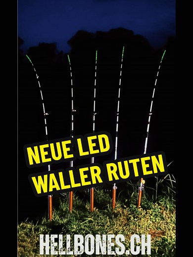 LED Waller Ruten #catfish #Angeln #fishing #ledfishing #fyp @hellbones_ @🎣WS-BAITS🎣 @McM_Fishing @꧁ঔ☬♦️@𝐅𝐈𝐒𝐇_𝐅𝐎𝐊𝐔𝐒♦️☬ঔ꧂ @Micha Fishing 🎣 Team-Danny 🎣 @Stefan🎣Fishing🎣die🎣Legende @AsphaltAlltagMaiko @Maximilian Ch. Simon AfD @silvano @Baristahamburg @Danilo Team Danny/ws-baits @Marcel B 🎣Team Danny🎣 @𝓒𝓶𝓯 𝓕𝓲𝓼𝓱𝓲𝓷𝓰 @Silvano🎣Team-WSBaits🎣