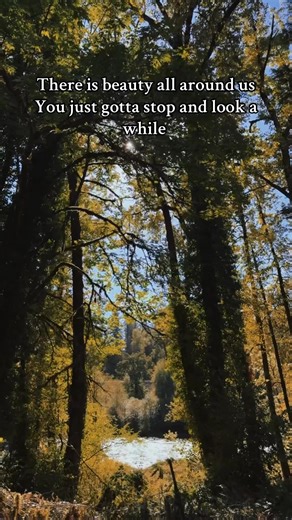 Nature isn’t just a backdrop it is art. Every tree, every bug, every ripple of water is a masterpiece. If we love it, we have to respect it clean up our trash, protect the tiny lives crawling under leaves, and appreciate without destroying. Let’s be the kind of humans who leave beauty behind, not harm. ✨💕 | Radically Sunny