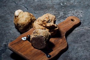 The most expensive truffles in the world
