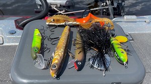 13K views · 167 reactions | Big fish require specialized tackle, and muskies are certainly big fish. In this video, Mercury pro Jim Saric breaks down the essentials for any musky angler. Read more about musky tackle on the Mercury Dockline here: https://bit.ly/3ttG3ZP #GoBoldly Jim Saric Musky Hunter TV | Mercury Marine | Facebook