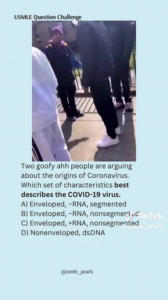 Understanding Viruses: Classmates Debate Key Concepts