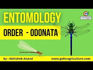 ORDER - ODONATA (Dragonfly) - Entomology lec 48 - Go For Agriculture #entomology #icar #odonata
