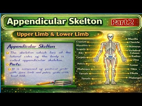 Appendicular Skeleton Explained | Class 12 Biology Full Chapter | NEET & MDCAT