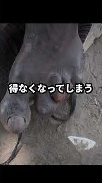 A disease that can cause severe deformities of the face, limbs, and