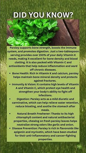 Parsley Health Benefits