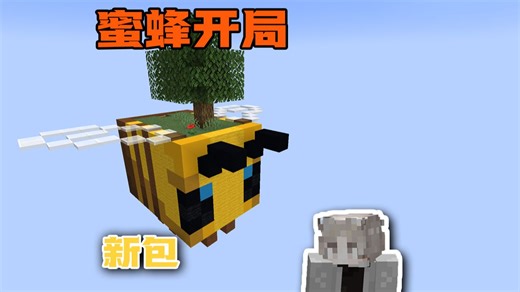 超多MOD新包！蜂蜂空坊 我的世界