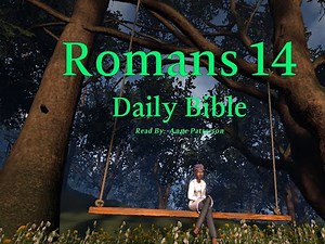 Romans Chapter 14 Holy Bible KJV