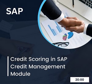 Updating Customer Credit Limits in SAP