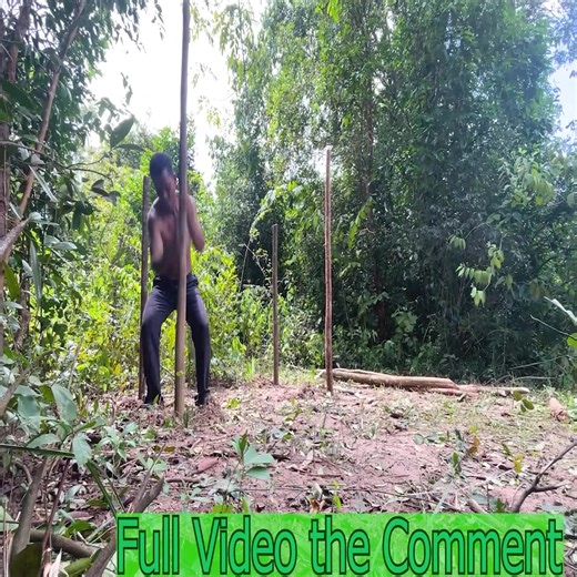 I build a Bushcraft shelter in the Wild! using primitive skills ======= Full Video Comment 👇👇👇 | Bushcraft Construction Technology