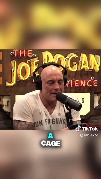 Joe Rogan's Best Motivational Insights on UFC and MMA