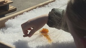 Curious kids get close up at maple syrup process in Summerland, B.C.