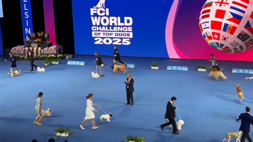 🌐⭐️ FCI World Dog... - FCI World Dog Show 2025 in Helsinki