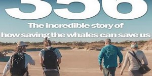 Plastic Ocean Project screening short film ‘356′ for World Oceans Day