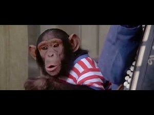 The Pink Panther - The Blind Man's Monkey
