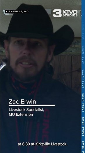 Missouri's north central 'Show Me Select' bred heifer sale set for Friday