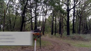 Traction, whenever you need it. Wildtrak gives you full control with switch-on-the-fly 4x4. | Ford