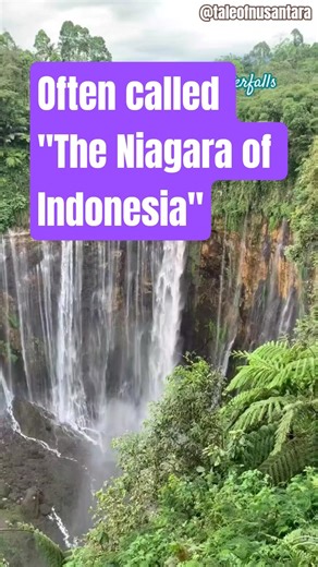 📍 Tumpak Sewu Waterfall , Lumajang 💦⛲ #nature #beatifulnature #waterfall #travel #placetovisit