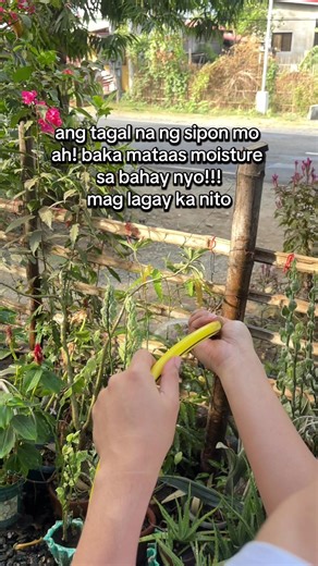 Benefits of Using a Dehumidifier at Home