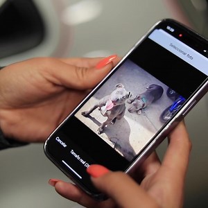 The new MGP Laser Imbedded Technology allows you to fully customize your Brake Caliper Covers. Whether it’s your name, pet or favorite sports team - make your ride yours! Learn more: https://www.calipercovers.com/l-i-t-laser-imbedded-technology/ | MGP Caliper Covers