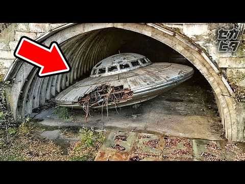 森や海で見つかった余りに予想外な物体３１選