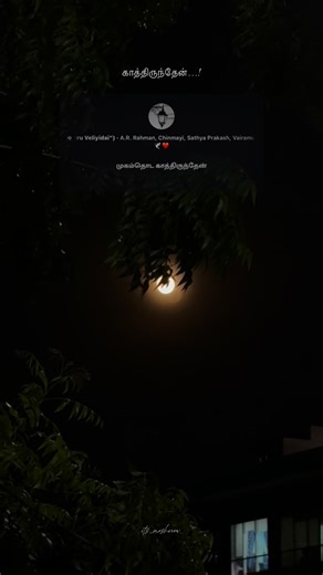 🅸🆃’🆂 🅼🅴🆂🅷 🆅🅸🅴🆆 on Instagram: "காத்திருந்தேன்…! . . . . . . . . #trending #trendingreels #instagood #instalike #fyp #freeskylyrics #lyrics #lyricalvideo #follow #aesthetic #instagood #itsmeshview #moon #selenophile"