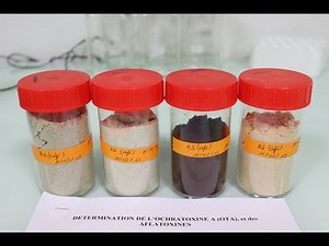 Des mycotoxines dans nos aliments ? Plusieurs filières à l'étude dans l'océan Indien