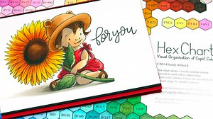 Using your Copic Hex Chart - Sandy Allnock