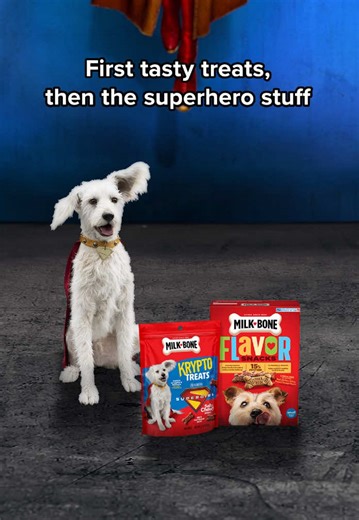 Time to save the galaxy? Yeah, one sec! Krypto needs his yummy treat. | galaxy
