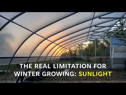 The Real Limitation for Winter Growing: It’s Not Heat, It’s Light