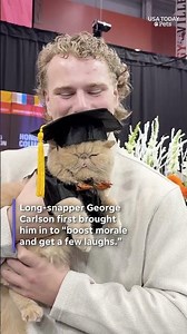 Viral locker room cat Pudge graduates See videos of his adorable cap and gown