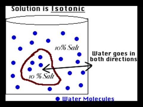 Diffusion and Osmosis
