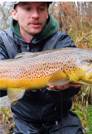 The best places to winter trout fish!! Go check it out now on YouTube. #fishing #troutfishing #fyp #foryou #foryoupage