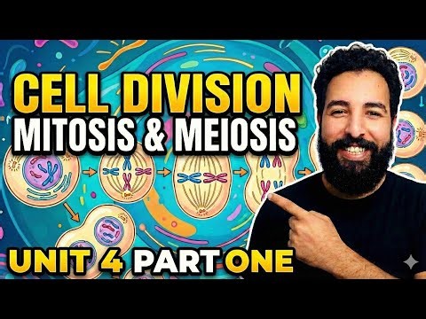 revision prep 3-unit 4-part 1