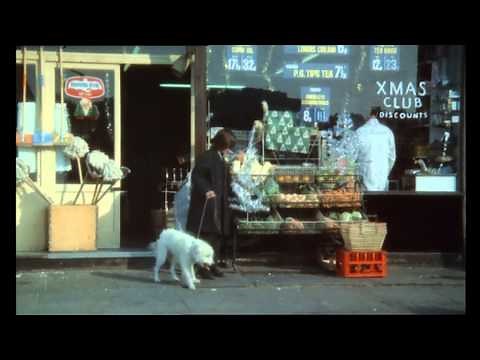 "The 14" : Order Now!