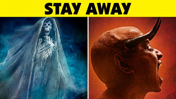 Rare And Remarkable Animals