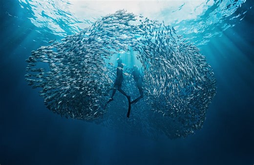 Walking On A Dream campaign boosts WA tourism in 2026