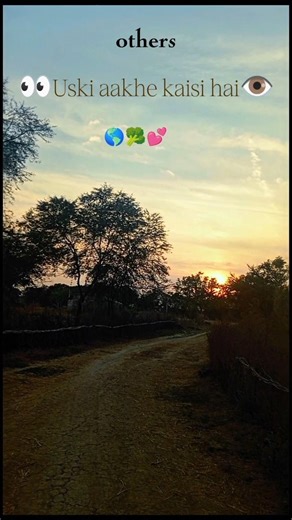 YouTube tag generator & keyword tool ᐈ Find tags, keywords & #hashtags for YouTube videos with FREE