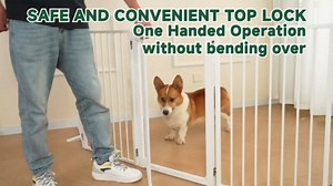 Snagle Paw Metal Freestanding Dog Gate with Door,120” W x 36” H Dog Fence with Support Feet for Doorways, Stairs and Hallways, Portable Pet Gate for Indoor Use (6 Panel, Black)